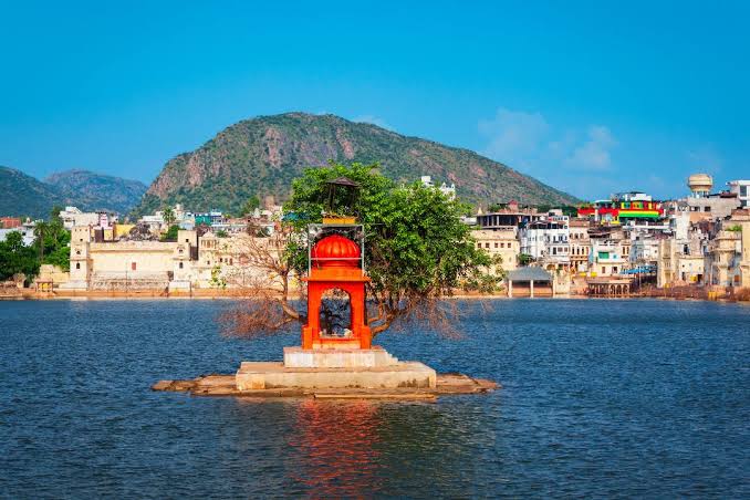 Same Day Sariska Jaipur Tour